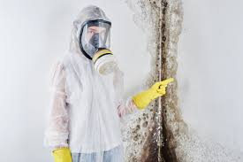 Why You Should Choose Our Mold Remediation Services in Altoona, WI